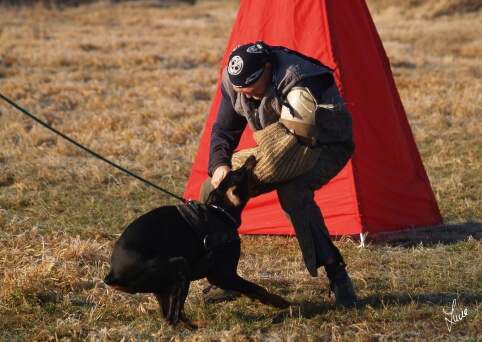 The christmas training 27.12.2006